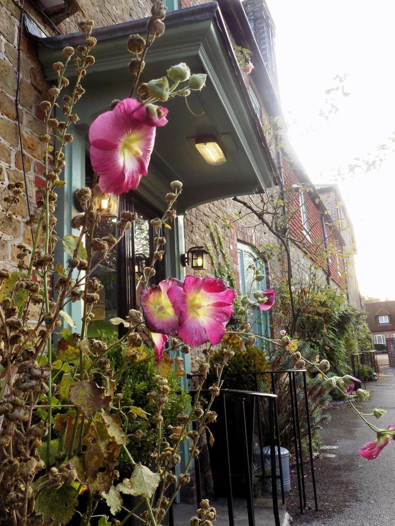 The Angel B&B Chichester Exterior foto